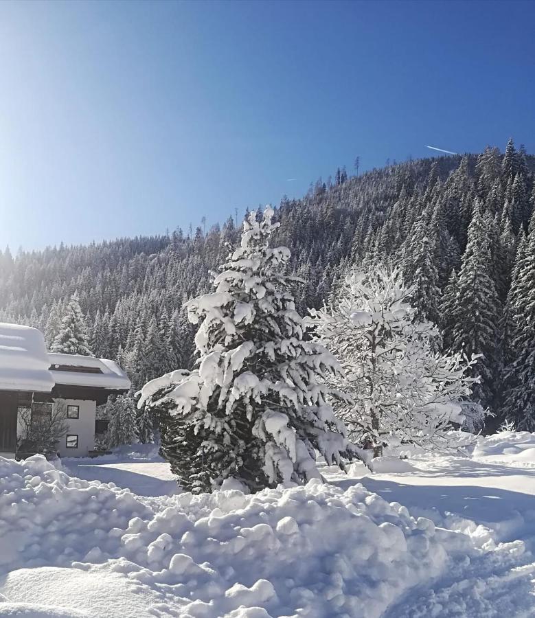 Pension Walchauhof ฟลาคเฮา ภายนอก รูปภาพ