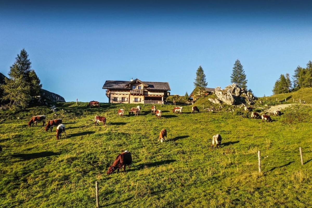 Pension Walchauhof ฟลาคเฮา ภายนอก รูปภาพ
