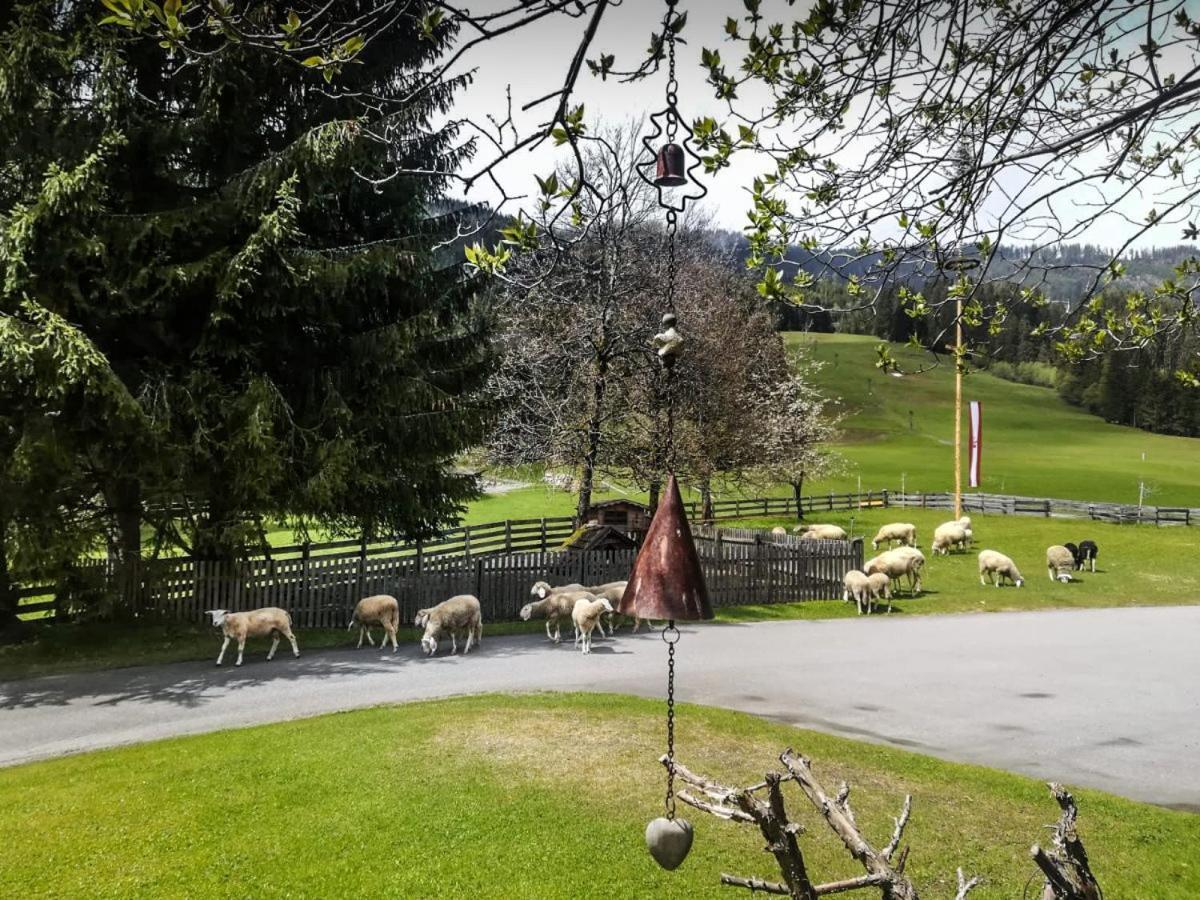 Pension Walchauhof ฟลาคเฮา ภายนอก รูปภาพ